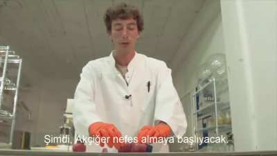 İlk insan eliyle oluşturulmuş Canlı Oscar(Modüler Prototip)