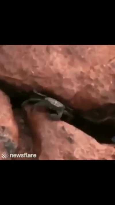 Yeah you are dead...