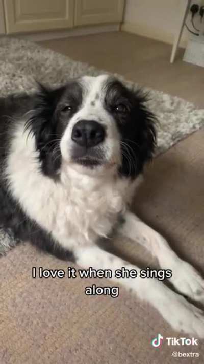 Voice of an angel, face of an angel