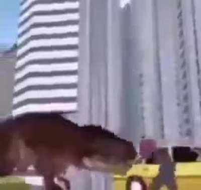 where is he