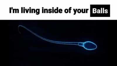 ligma balls