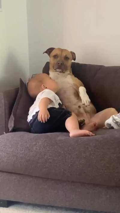 Just two bros chillin’… one’s drooling, one’s plotting
