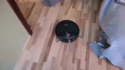 #RobotApocalypse