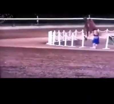 Race between small steps and large steps