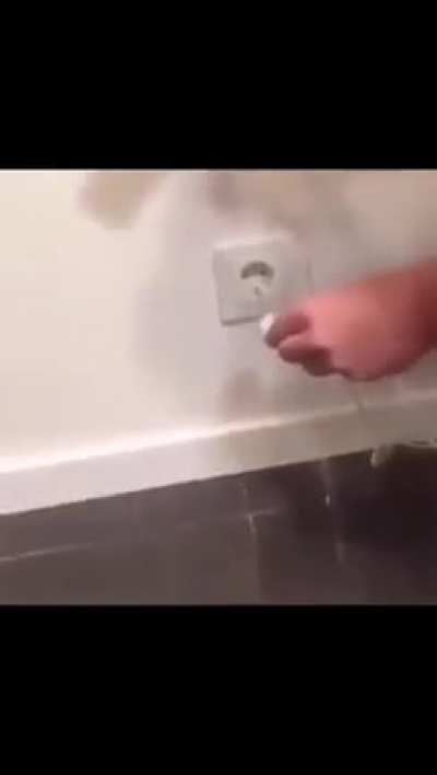 This is safe