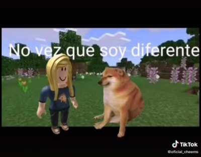Factores