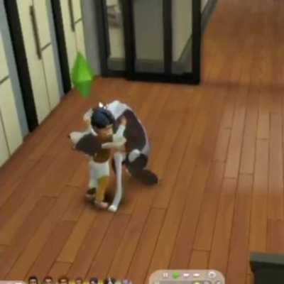Furry_irl
