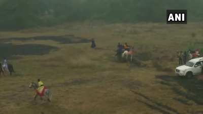 WATCH Punjab: Nihang Sikhs demonstrate horse riding skills on the occasion of BandiChhorDivas, in Amritsar.