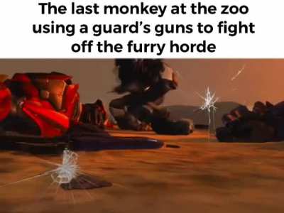 Monke fight, monke never surrender