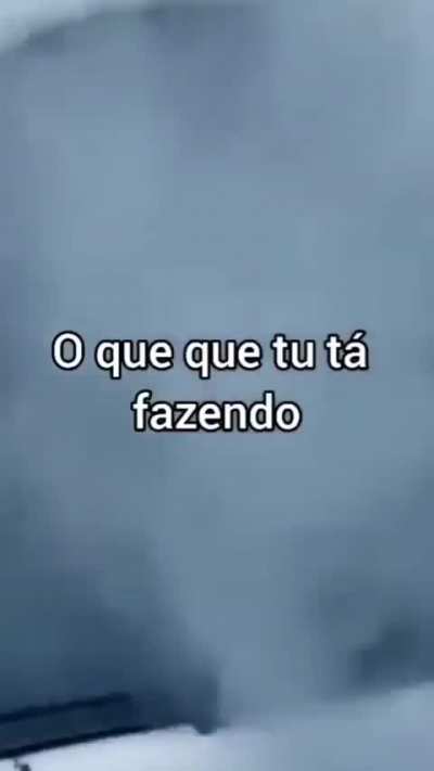 Tem um dinossauro na coleira