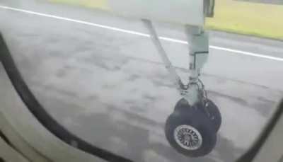 Airplane lands on Deer