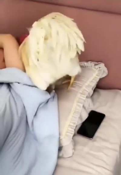 Natural alarm clock!