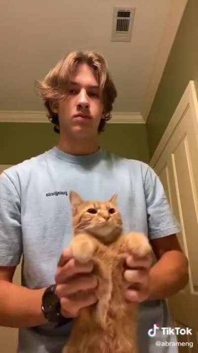 Smooth cat