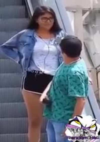 El ql