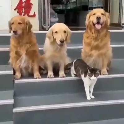 You're cordially invited to honor us with your presence in the group photo!