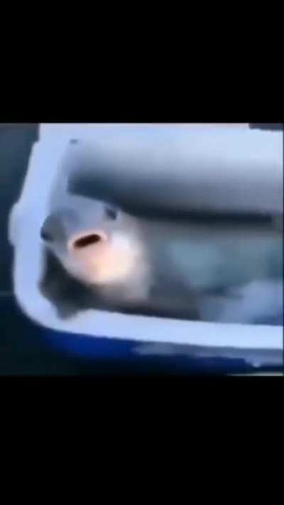 😀