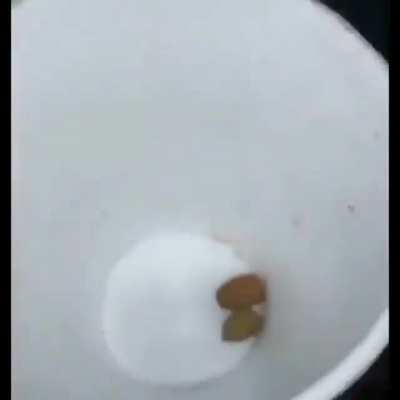 ⠀⠀⠀⠀⠀⠀⠀⠀⠀