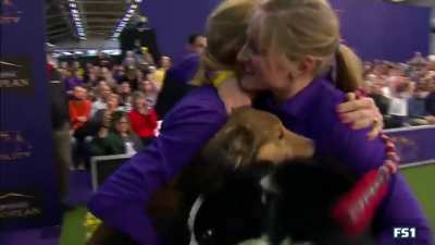 Pink the Dog Destroying Westminster Dog Show Agility Course