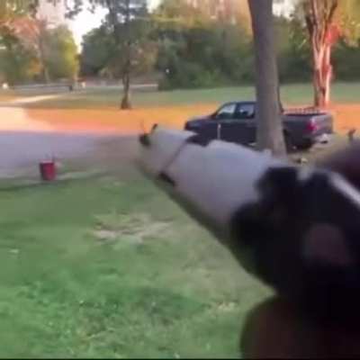 killing a spider with a pistol