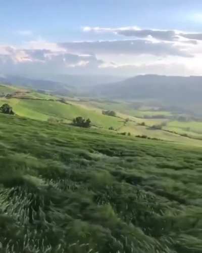 I thought it looked like a real-life Ghibli scene