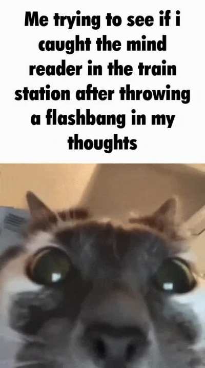 ‌