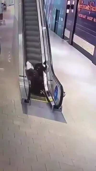 Эскал<wbr>атор это тяжело