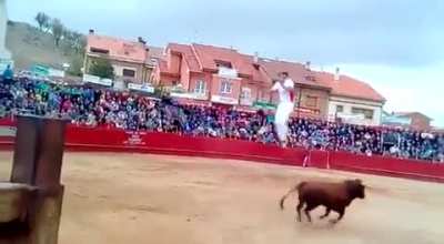 Bull jumper gets knocked out