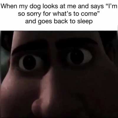 He poo poo’d