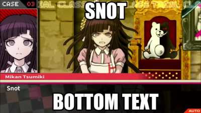 s n o t (2-3)