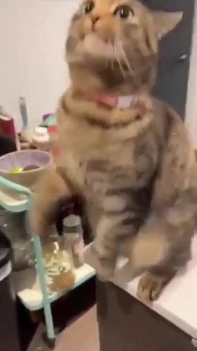 loud wunk