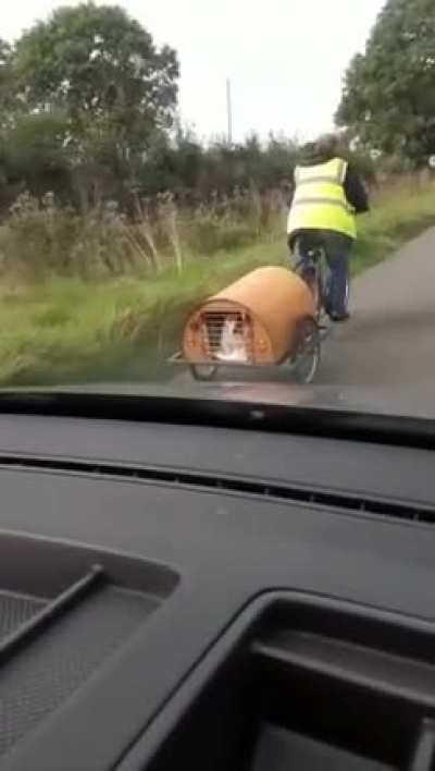 Ireland summed up in one video