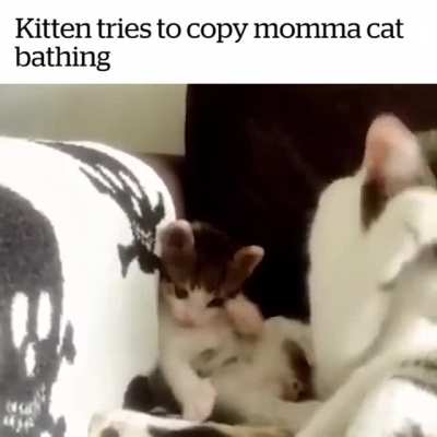 Learning to wash up