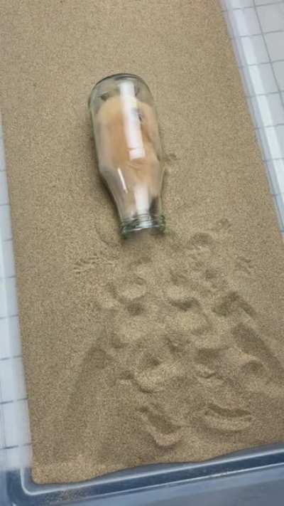 Liquid