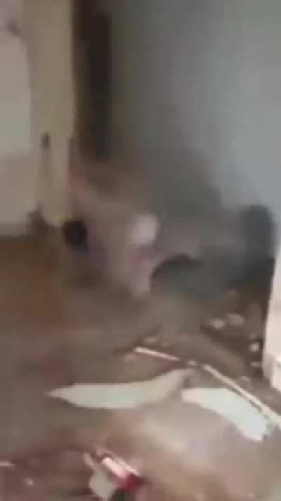 Kid vs wall
