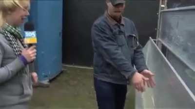 Maybe Maybe Maybe