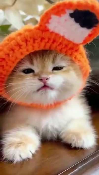 Meow