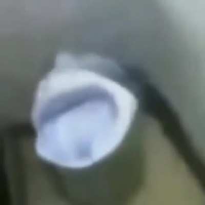 Baño cantando