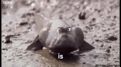I am legs. [OC]