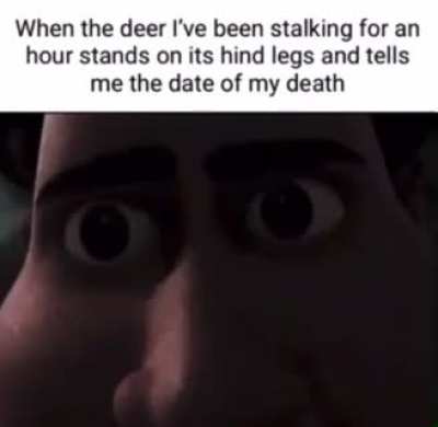 Me irl
