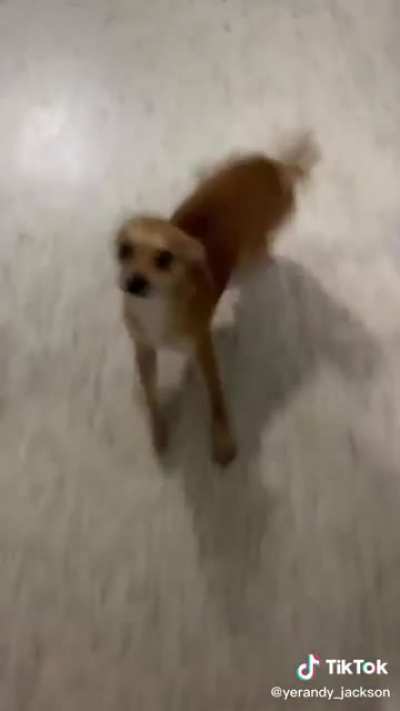 Run...