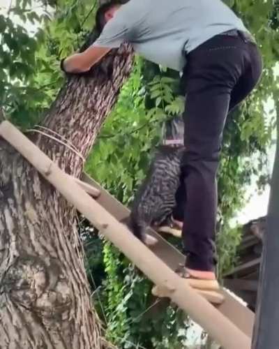 Please take me down