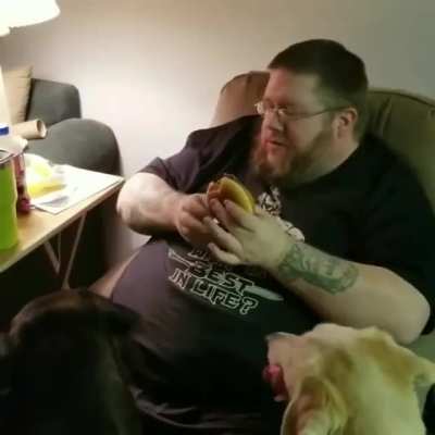 to eat a whole cheeseburger