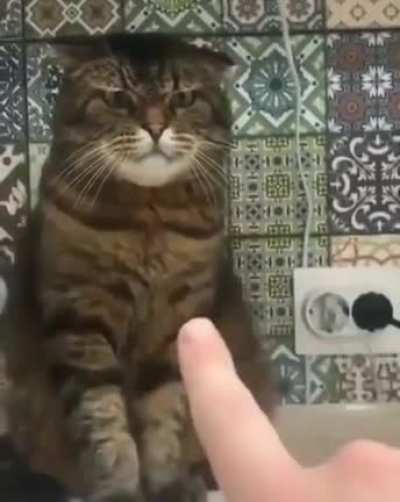 Not a fan of boops.