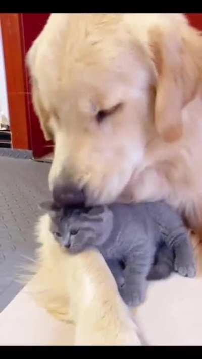 Cuteness Overload!