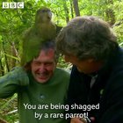 Throwback to the time Stephen Fry encountered a kakapo