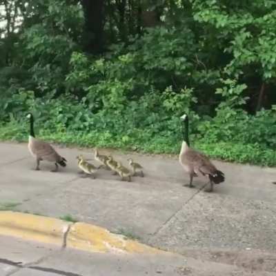 Not sure if this is the best subreddit for this, BUT WHYYYYY???