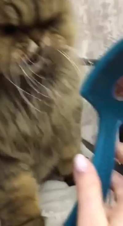 Don't fucking touch me Brenda.