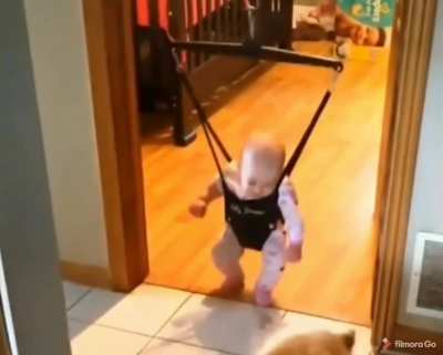 Doggo teaches baby how to jump