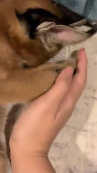 such a sweetheart
