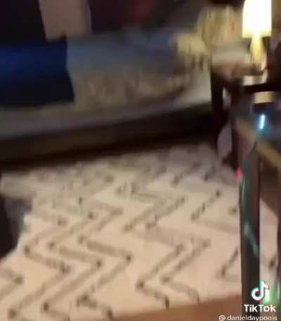 House tour